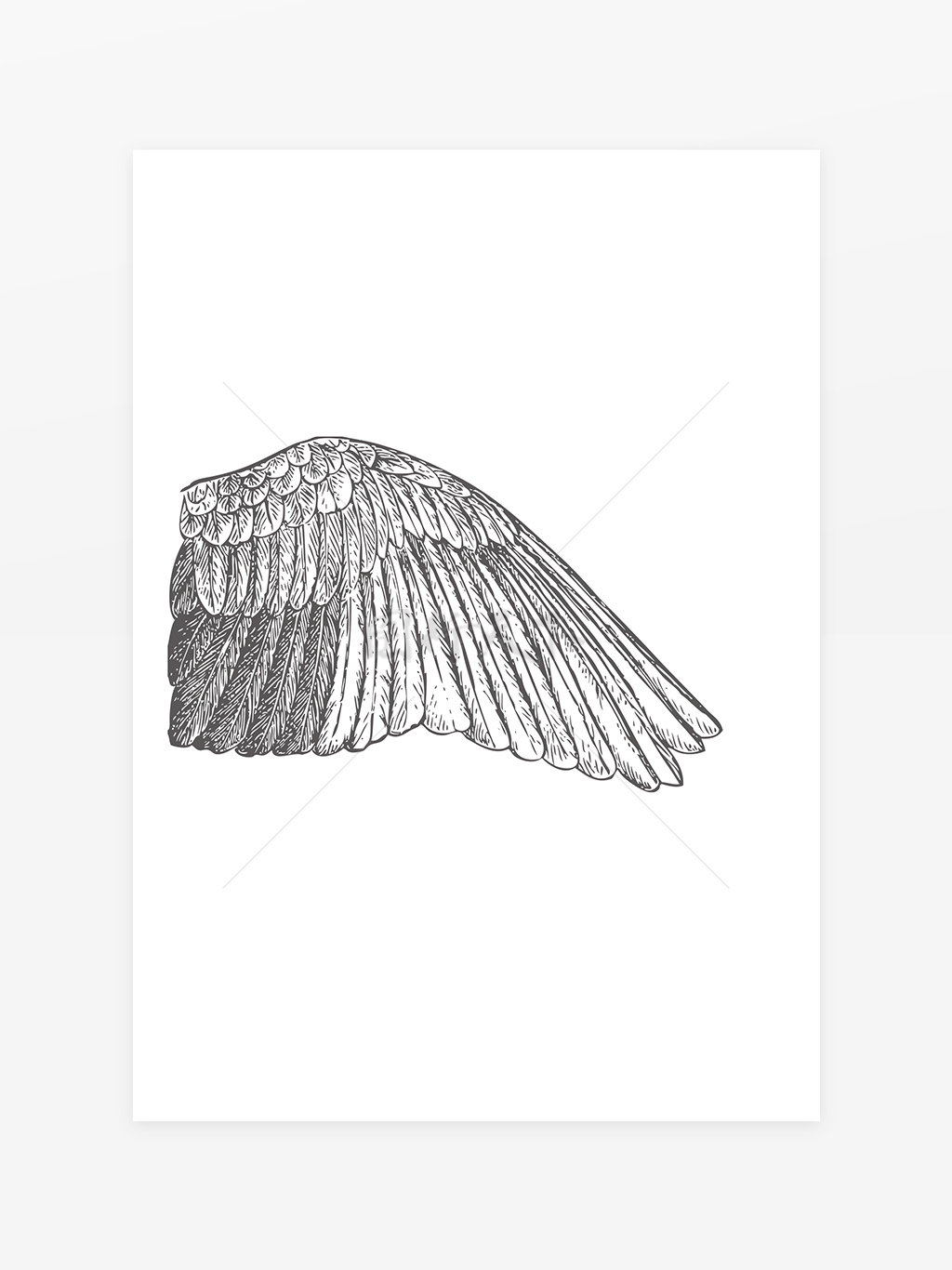  翅膀线稿图片
